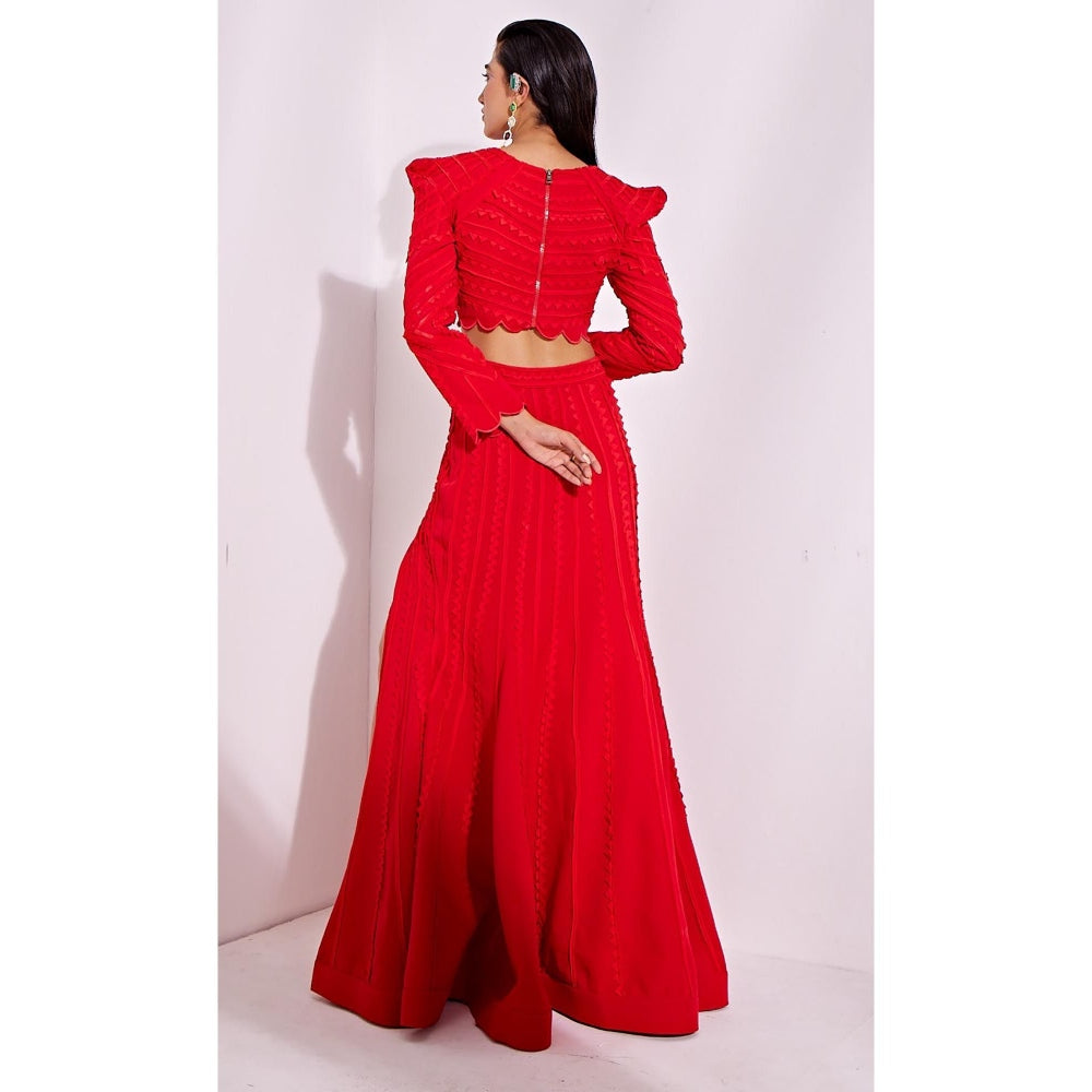 Vidhi Wadhwani Red Ania Top with Skirt (Set of 2)