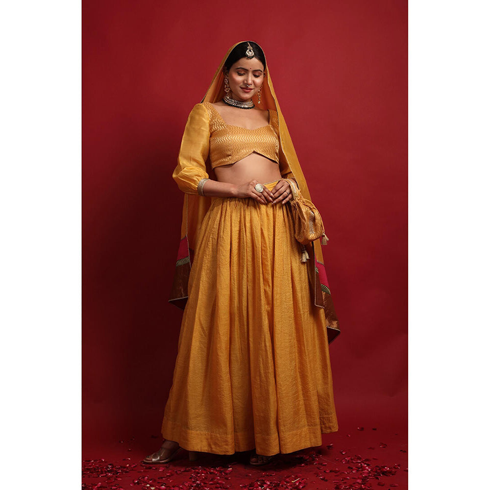 Vinusto Turmeric Yellow Chanderi Handloom Lehenga Choli with Dupatta (Set of 3)