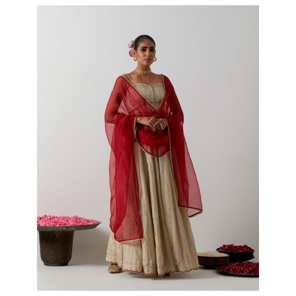 Vinusto Gold & Silver Zari Striped Lehenga with Blouse & Red Dupatta