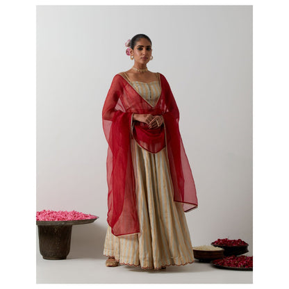 Vinusto Gold & Silver Zari Striped Lehenga with Blouse & Red Dupatta
