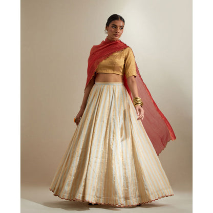 Vinusto Silver- Gold Zari Stripe Lehenga with Blouse & Red Dupatta