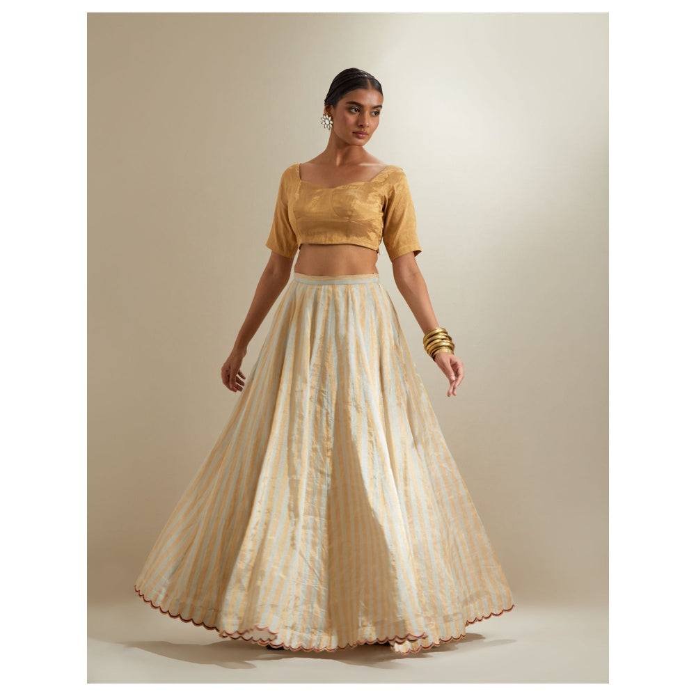 Vinusto Silver- Gold Zari Stripe Lehenga with Blouse & Red Dupatta