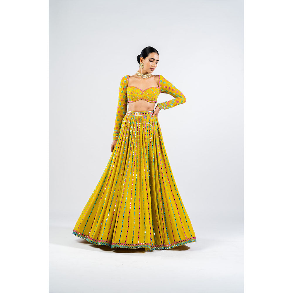 Vvani by Vani Vats Moss Green Linear Drop Blouse with Lehenga & Dupatta (Set of 3)