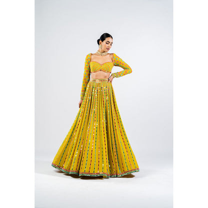Vvani by Vani Vats Moss Green Linear Drop Blouse with Lehenga & Dupatta (Set of 3)