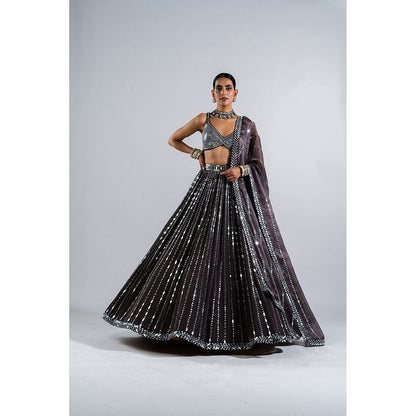 Vvani by Vani Vats Charcoal Grey Drop Lehenga with Metallic Blouse & Dupatta (Set of 3)