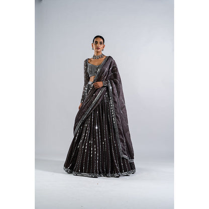 Vvani by Vani Vats Charcoal Grey Linear Drop Blouse with Lehenga & Dupatta (Set of 3)