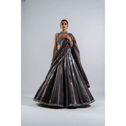 Vvani by Vani Vats Charcoal Grey Seam Lehenga with Mirror Blouse & Dupatta (Set of 3)