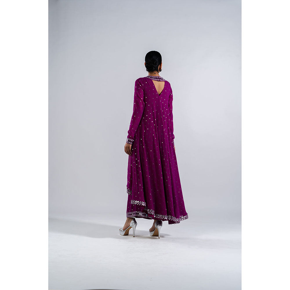 Vvani by Vani Vats Pop Wine Asymmetrical Kurta with Palazzo (Set of 2)