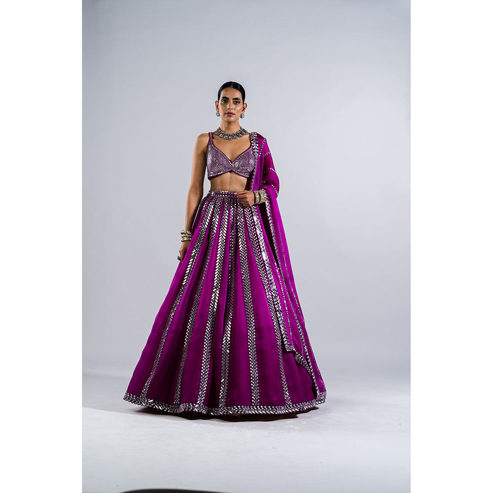 Vvani by Vani Vats Pop Wine Mirror Seam Blouse with Lehenga & Dupatta (Set of 3)