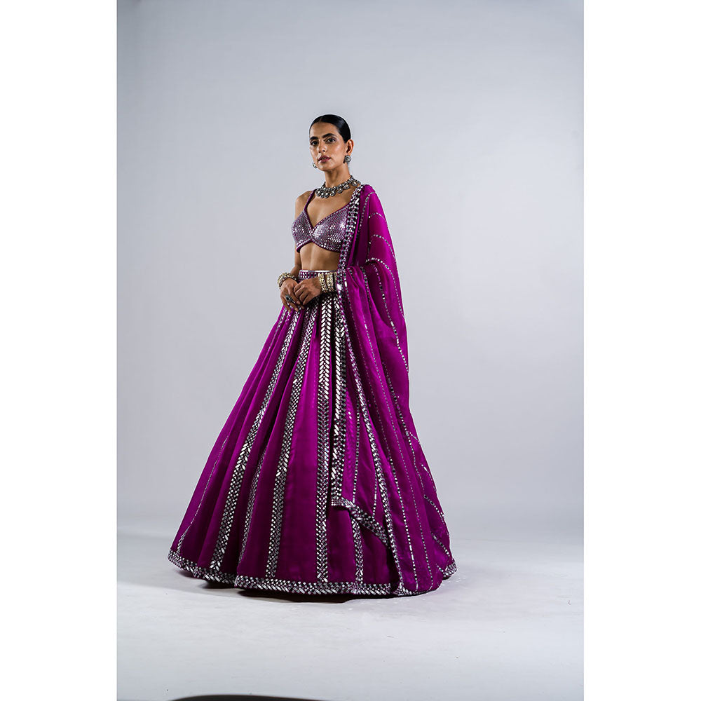 Vvani by Vani Vats Pop Wine Mirror Seam Blouse with Lehenga & Dupatta (Set of 3)