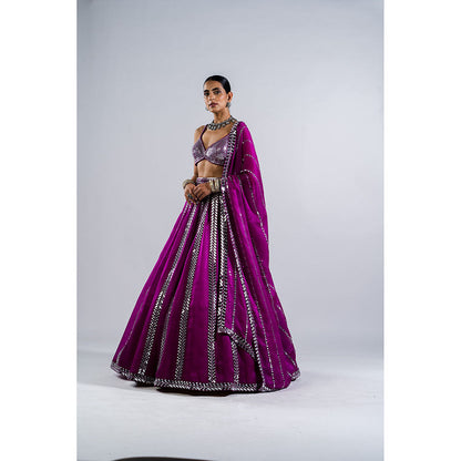 Vvani by Vani Vats Pop Wine Mirror Seam Blouse with Lehenga & Dupatta (Set of 3)