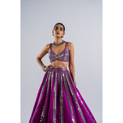 Vvani by Vani Vats Pop Wine Mirror Seam Blouse with Lehenga & Dupatta (Set of 3)