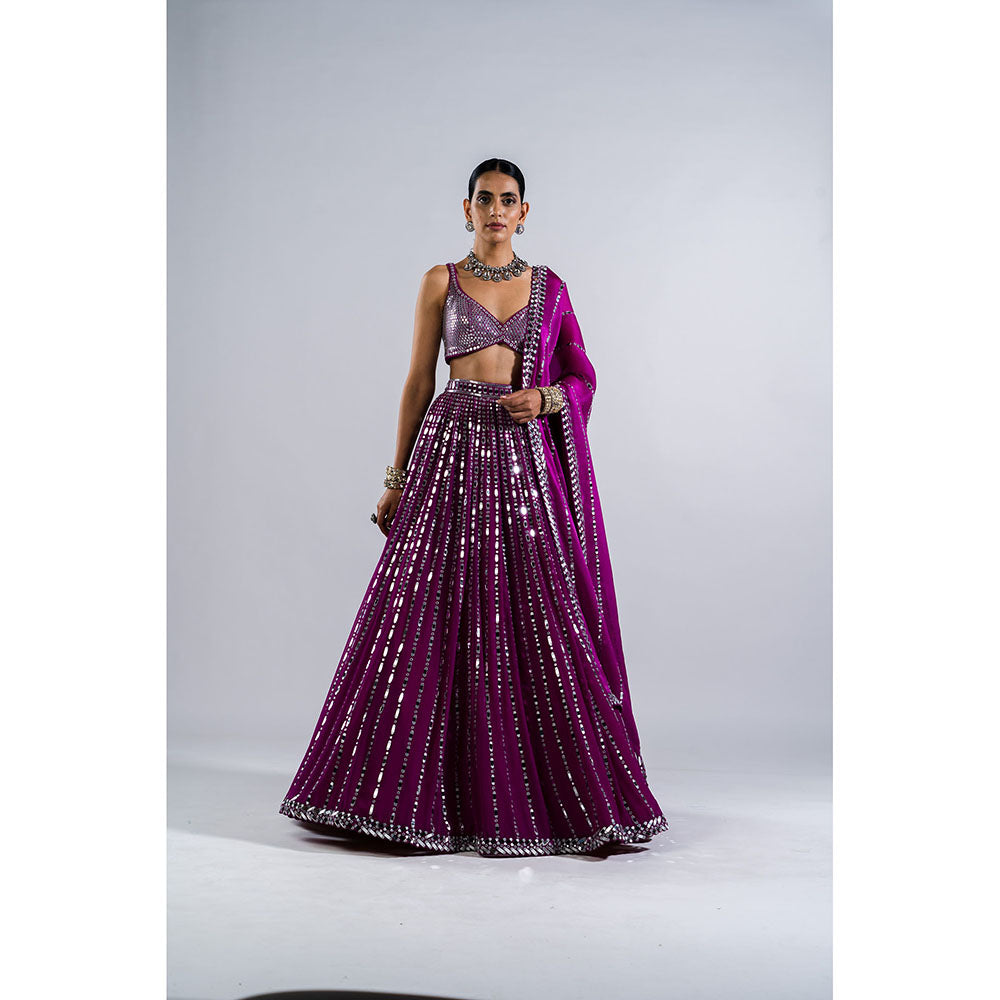 Vvani by Vani Vats Pop Wine Linear Drop Lehenga with Metallic Blouse & Dupatta (Set of 3)