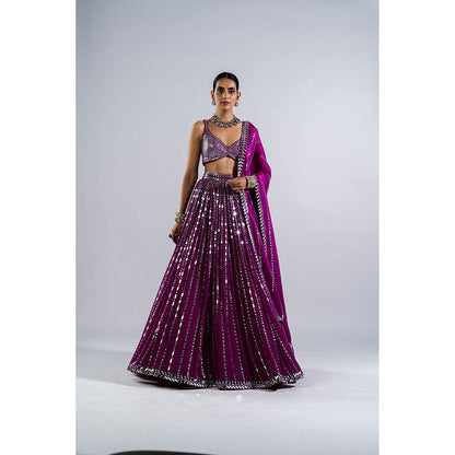 Vvani by Vani Vats Pop Wine Linear Drop Lehenga with Metallic Blouse & Dupatta (Set of 3)