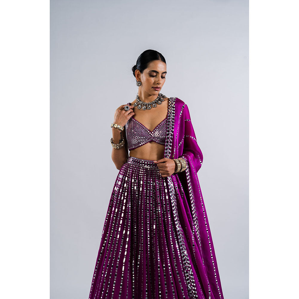 Vvani by Vani Vats Pop Wine Linear Drop Lehenga with Metallic Blouse & Dupatta (Set of 3)