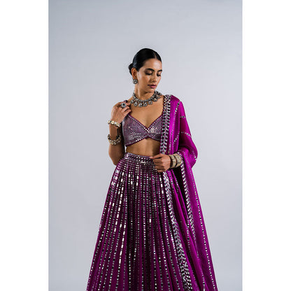 Vvani by Vani Vats Pop Wine Linear Drop Lehenga with Metallic Blouse & Dupatta (Set of 3)