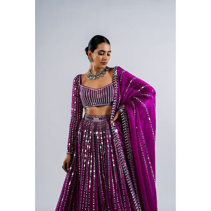 Vvani by Vani Vats Pop Wine Linear Drop Blouse with Lehenga & Dupatta (Set of 3)