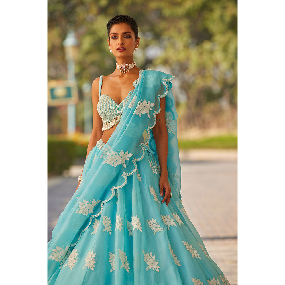 Vvani by Vani Vats Blue Flower Blouse with Lehenga & Dupatta (Set of 3)