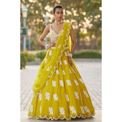 Vvani by Vani Vats Moss Green Flower Blouse with Lehenga & Dupatta (Set of 3)