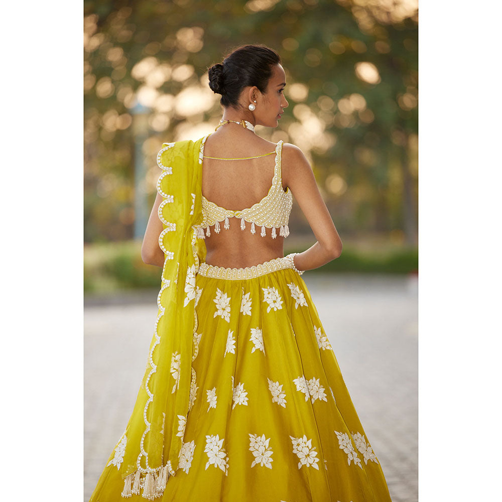 Vvani by Vani Vats Moss Green Flower Blouse with Lehenga & Dupatta (Set of 3)