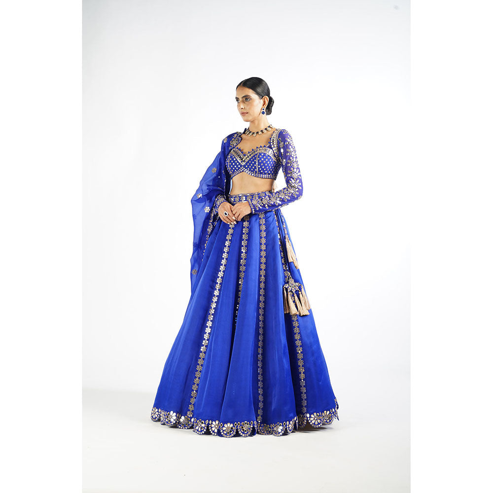 Vvani by Vani Vats Royal Blue Embroidered Blouse with Lehenga & Dupatta (Set of 3)