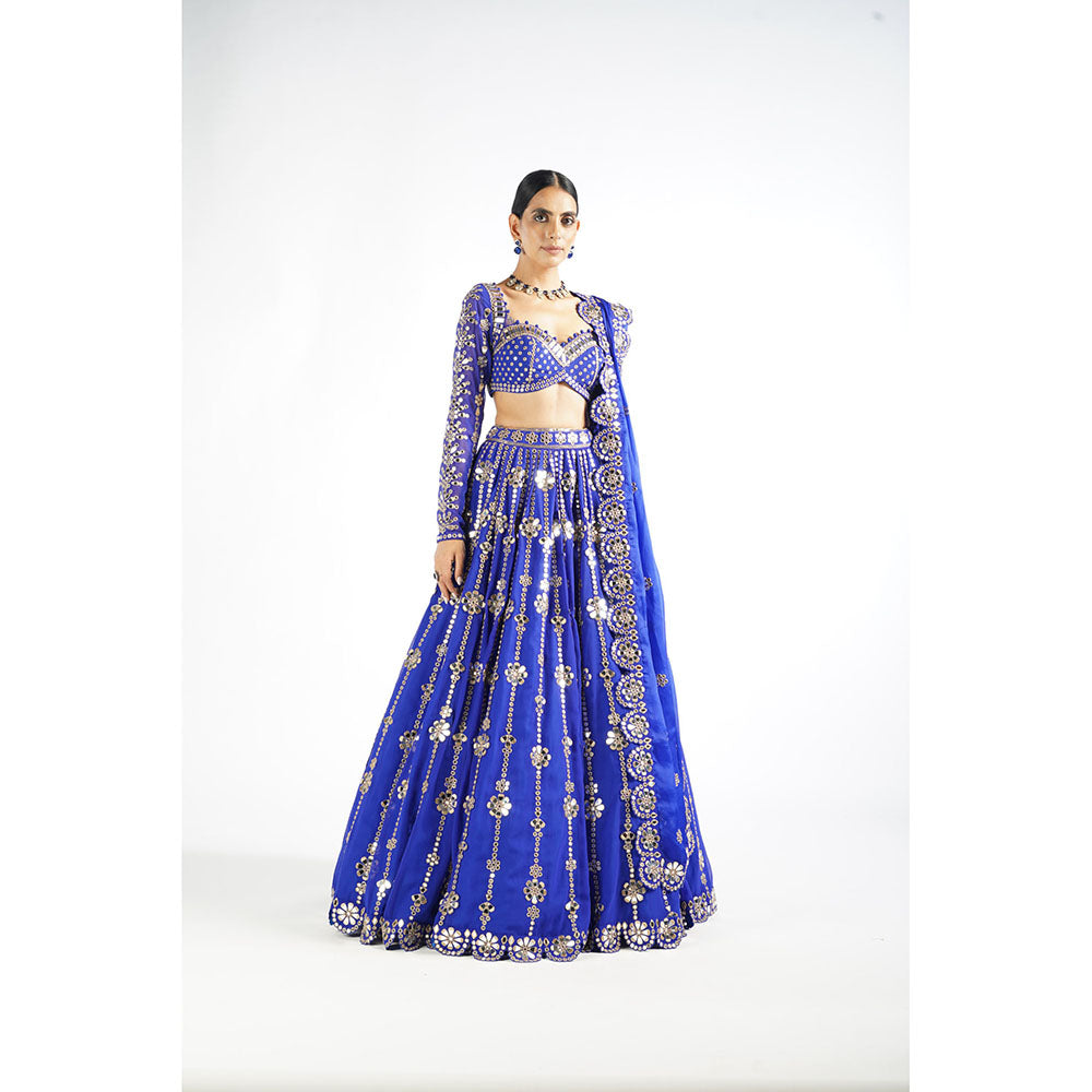 Vvani by Vani Vats Royal Blue Big Flower Linear Blouse with Lehenga & Dupatta (Set of 3)