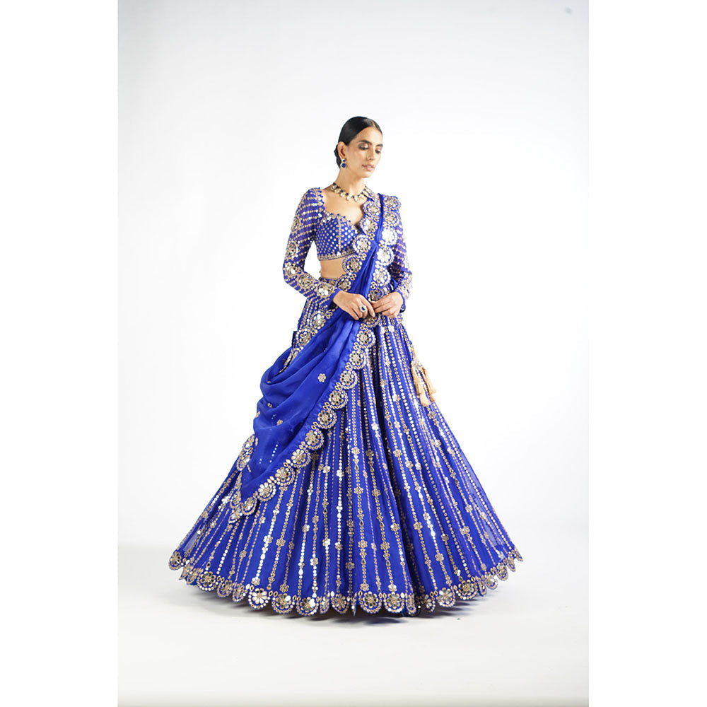 Vvani by Vani Vats Royal Blue Small Flower Linear Blouse with Lehenga & Dupatta (Set of 3)