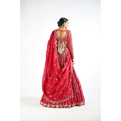 Vvani by Vani Vats Crimson Red Small Flower Linear Blouse with Lehenga & Dupatta (Set of 3)