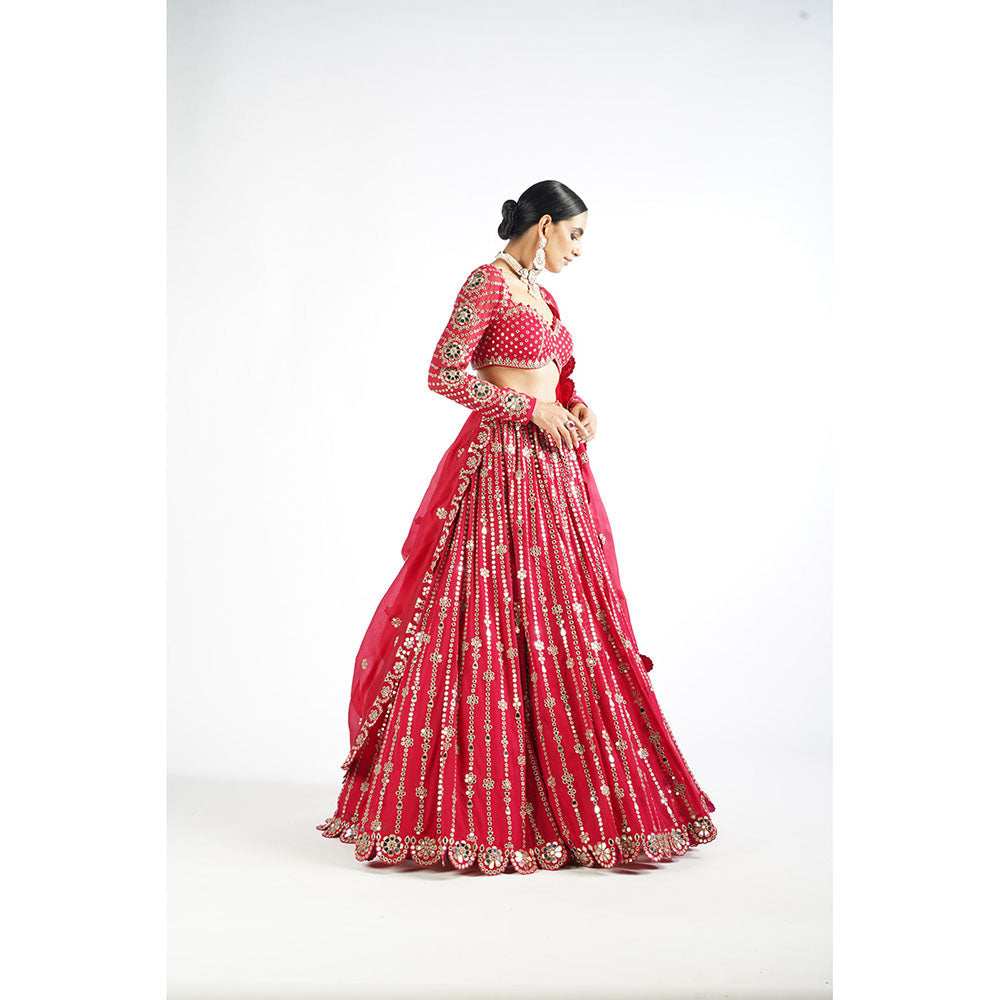 Vvani by Vani Vats Crimson Red Small Flower Linear Blouse with Lehenga & Dupatta (Set of 3)