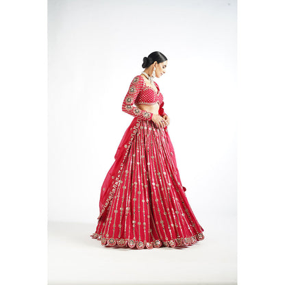 Vvani by Vani Vats Crimson Red Small Flower Linear Blouse with Lehenga & Dupatta (Set of 3)