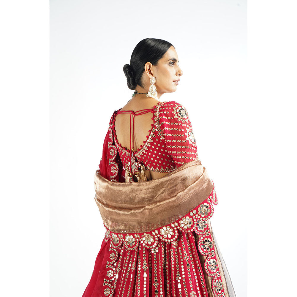 Vvani by Vani Vats Mellow Pink Small Flower Lehenga with Blouse & 2 Dupatta's (Set of 4)
