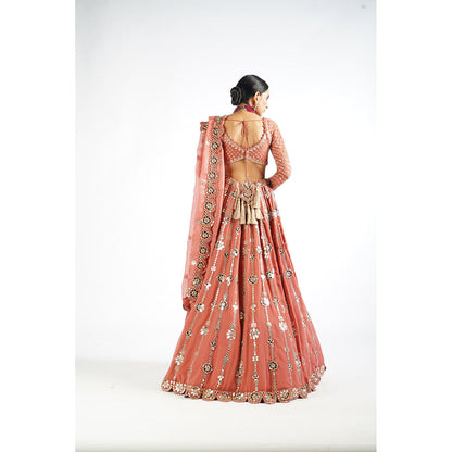 Vvani by Vani Vats Mellow Rose Big Flower Linear Blouse with Lehenga & Dupatta (Set of 3)