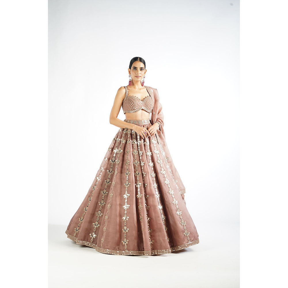 Vvani by Vani Vats Deep Beige Chandelier Drop Blouse with Lehenga & Dupatta (Set of 3)