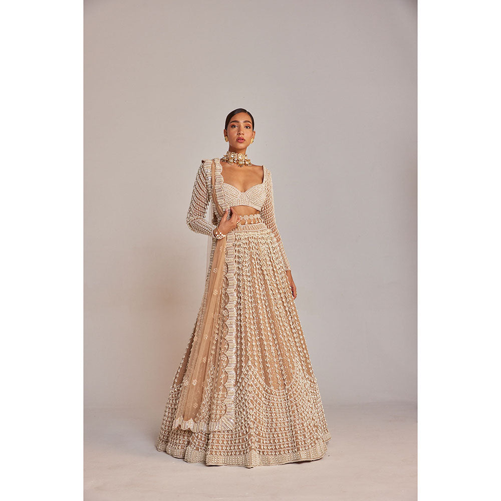Vvani by Vani Vats Beige Chandelier Pearl Lehenga with Blouse & Dupatta (Set of 3)