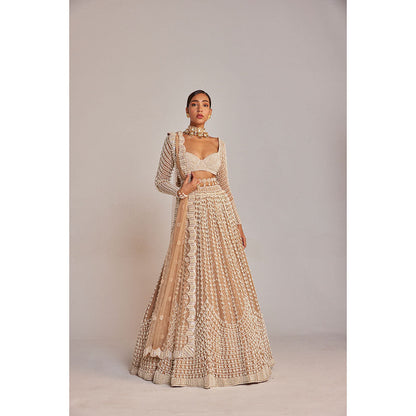 Vvani by Vani Vats Beige Chandelier Pearl Lehenga with Blouse & Dupatta (Set of 3)