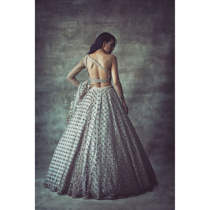 Vvani by Vani Vats Light Grey One Sleeve Blouse with Lehenga & Dupatta (Set of 3)
