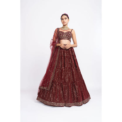 Vvani by Vani Vats Maroon Dense Dot Corset Blouse with Lehenga & Dupatta (Set of 3)