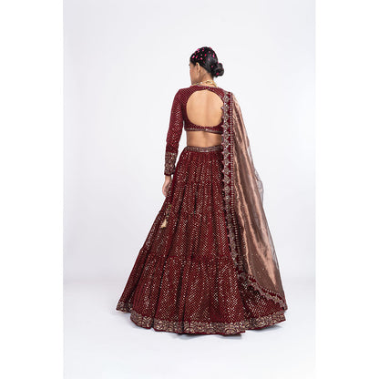Vvani by Vani Vats Maroon Dense Dot Blouse with Lehenga & Dupatta (Set of 3)
