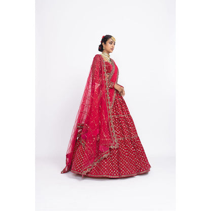Vvani by Vani Vats Red Floral Blouse with Lehenga & Dupatta (Set of 3)