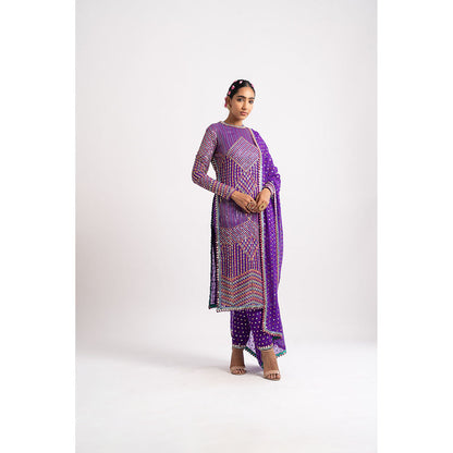 Vvani by Vani Vats Purple Multi Embroidery Round Neck Kurta & Pant with Dupatta (Set of 3)