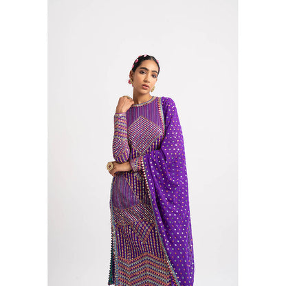 Vvani by Vani Vats Purple Multi Embroidery Round Neck Kurta & Pant with Dupatta (Set of 3)