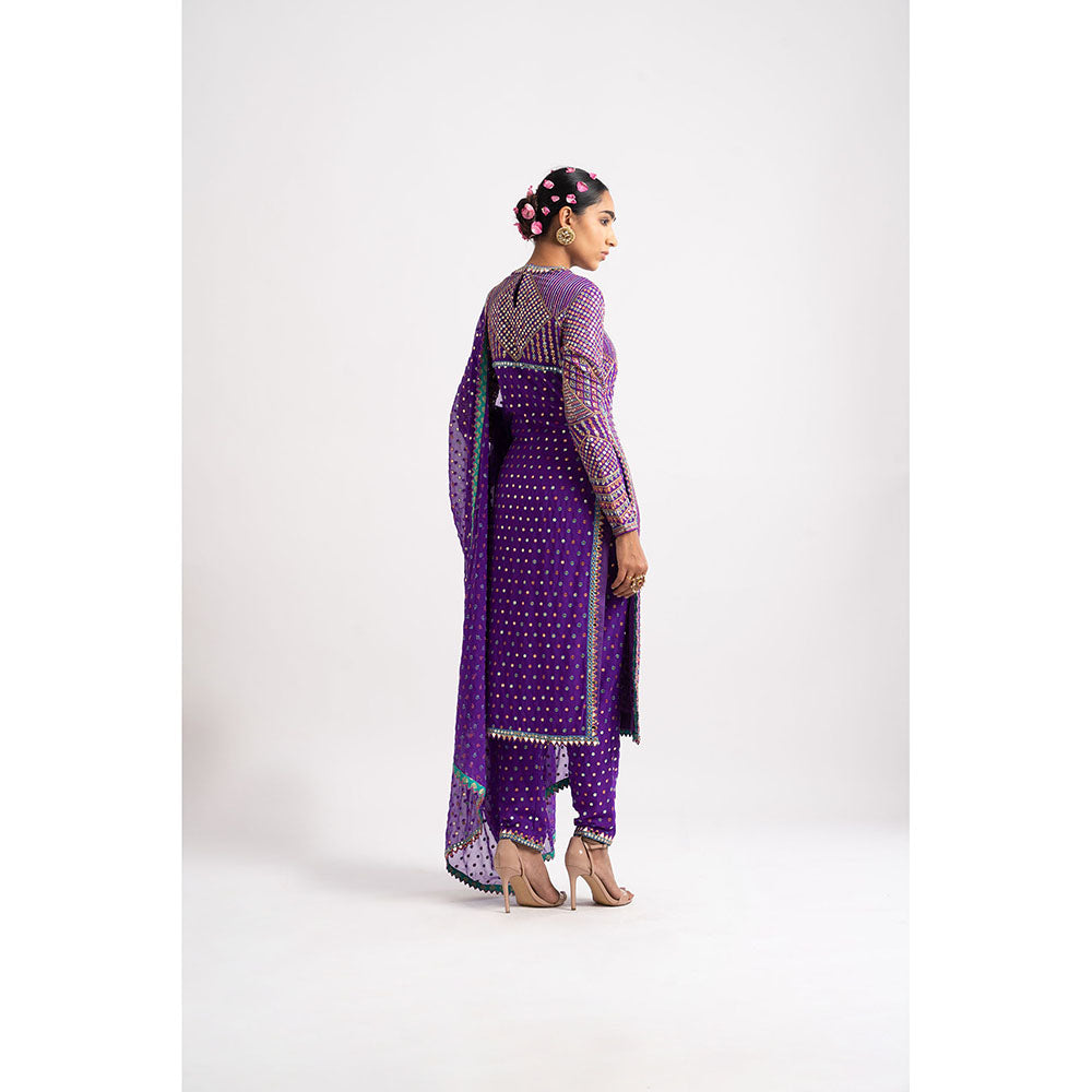 Vvani by Vani Vats Purple Multi Embroidery Round Neck Kurta & Pant with Dupatta (Set of 3)