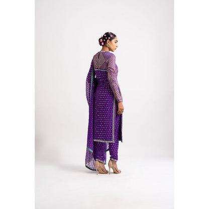 Vvani by Vani Vats Purple Multi Embroidery Round Neck Kurta & Pant with Dupatta (Set of 3)