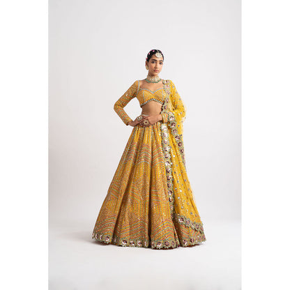 Vvani by Vani Vats Yellow Heavy Blouse with Lehenga & Dupatta (Set of 3)