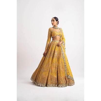 Vvani by Vani Vats Yellow Heavy Blouse with Lehenga & Dupatta (Set of 3)
