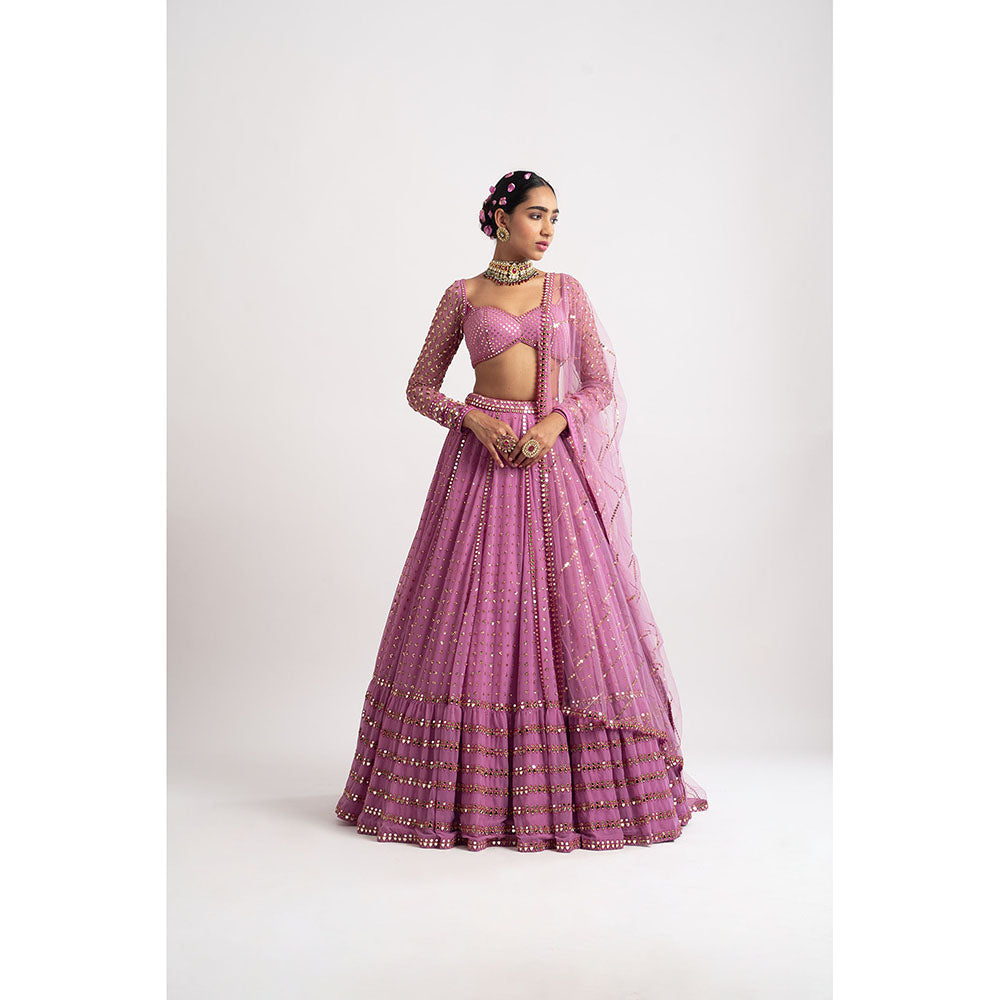 Vvani by Vani Vats Dark Blush Single Tier Blouse with Lehenga & Dupatta (Set of 3)