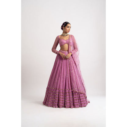 Vvani by Vani Vats Dark Blush Single Tier Blouse with Lehenga & Dupatta (Set of 3)