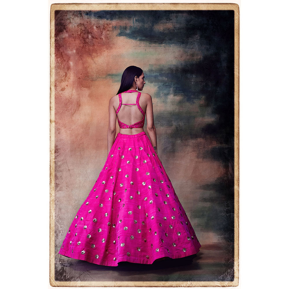 Vvani by Vani Vats Hot Pink Crop Top & Skirt (Set of 2)