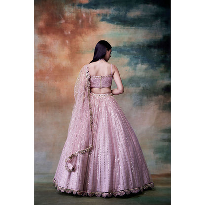 Vvani by Vani Vats Powder Pink Blouse with Lehenga & Dupatta (Set of 3)