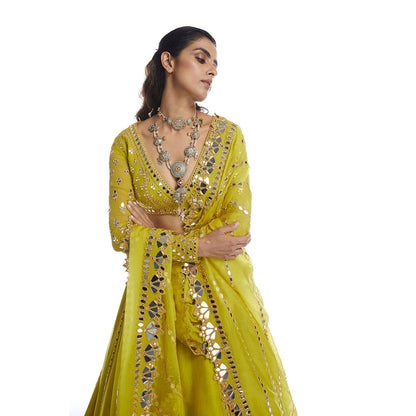Vvani by Vani Vats Moss Green Blouse with Lehenga & Dupatta (Set of 3)